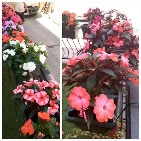 Jezero דירה ארנדלובאץ'