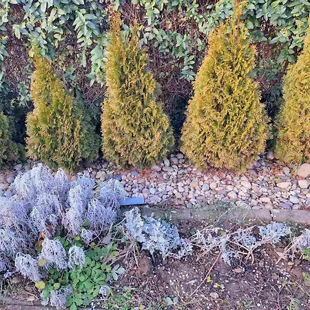 Jezero ארנדלובאץ'