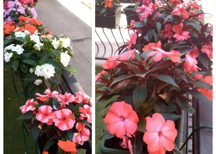 Jezero Appartement Aranđelovac